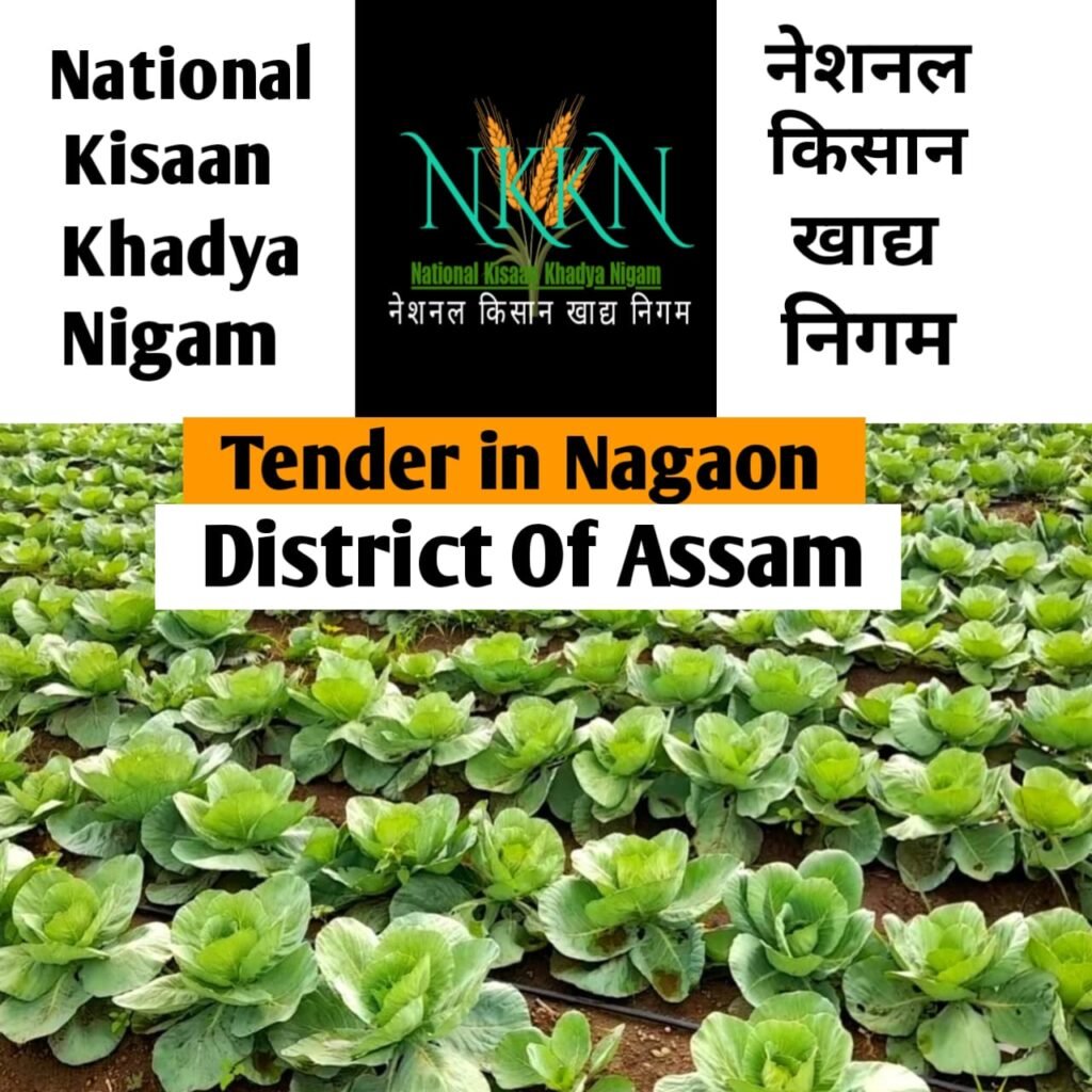 Tender in National Kisaan Khadya Nigam